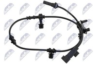 NTY HCA-PL-033