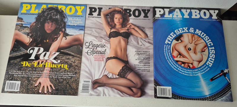Playboy Magazine 2013 10 issues Full year 2 double issues