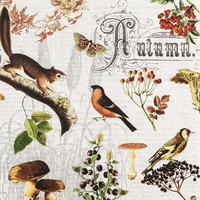 20 Servietten Autumn Collage VöGel EichhöRnchen Pilz Tier Vintage Herbst 33X33Cm