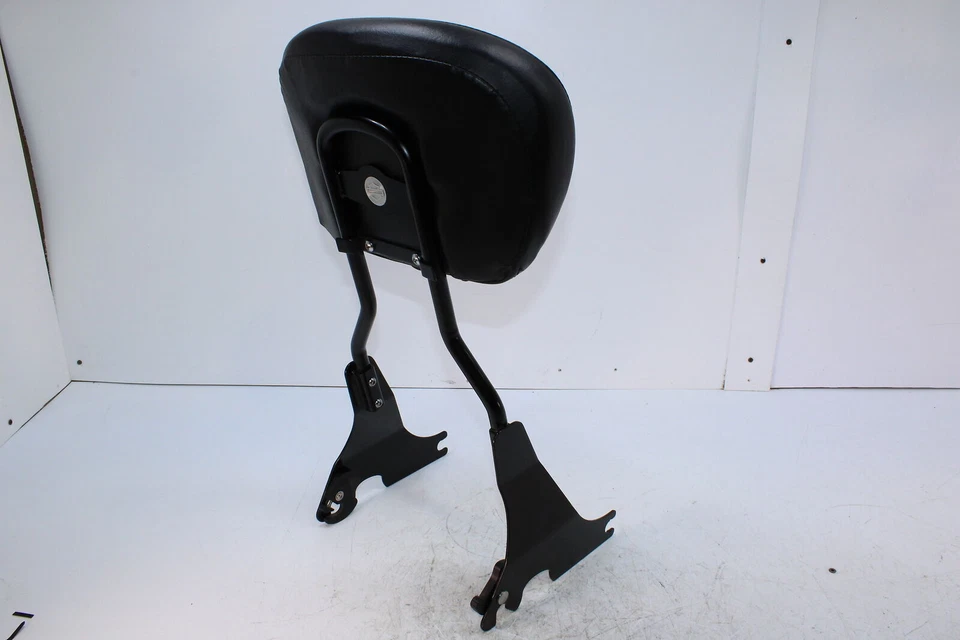 Harley-Davidson Sportster 1200xl 2018 cuarenta y ocho respaldo negro  Foto 3 de 4