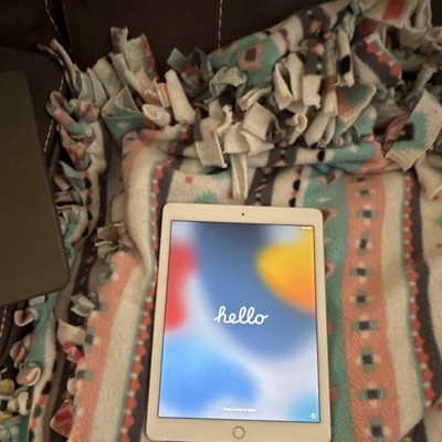 Apple iPad  air 2 16 GB 9.7 in screen WiFi - rose gold 