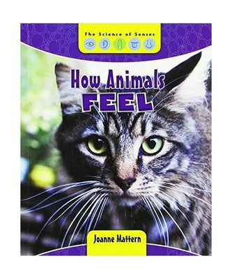 How Animals Feel, Joanne Mattern
