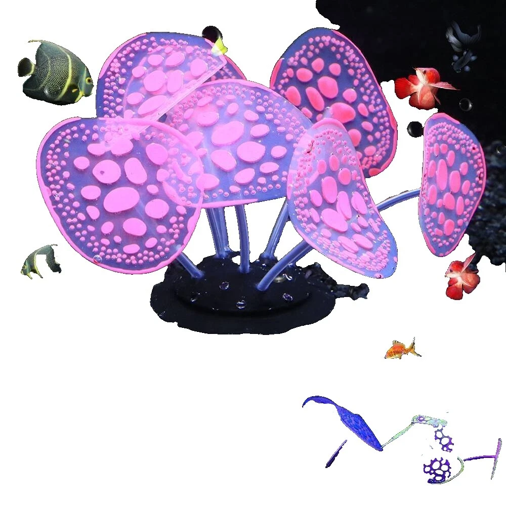 Decoraciones Aqua Medic Acuario