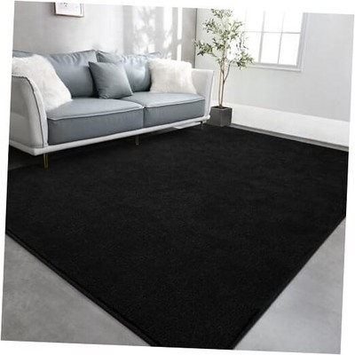 TWINNIS Large Area Rugs for Living Room Bedroom, Super Soft 4x6 Feet Black