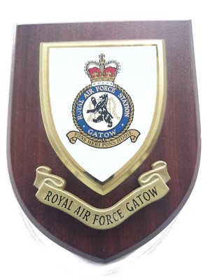 air force nike purple