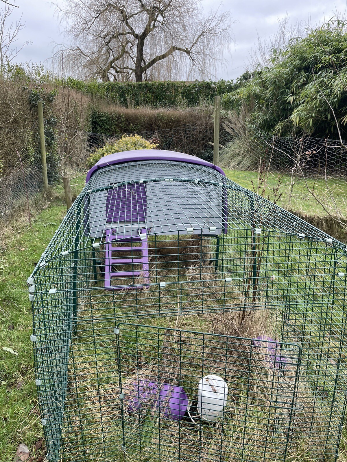 Omlet Eglu Cube Chicken Coop House + 3m Run + Feeder / Drinker + Cover eBay