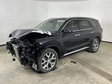 Driver Left Air Bag Driver Roof Fits 20-24 PALISADE 2723103