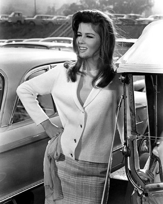 PAMELA TIFFIN PRINTS AND POSTERS 104254