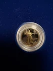 1991 1/10thoz Fine Gold $5 American Eagle Gold Bullion Coin,Tenth-Ounce