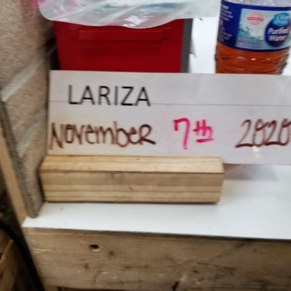 20072017 GMC ACADIA FLYWHEEL FLEX BOLTS SET OF 8 OEM 168598 eBay