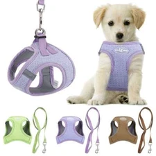 Breathable Soft Dog Harness and Leash Set For Small Puppy Dogs Pet Walking Vest