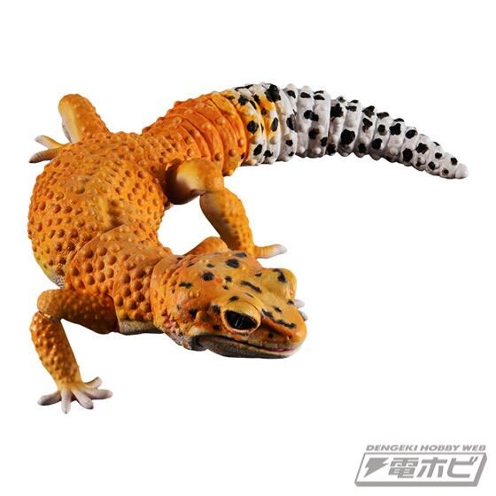 Bandai Ikimono Encyclopedia Advance Leopard Gecko 4 Types Set No Capsule 170mm Bandai Ikimono Encyclopedia Advance Leopard Gecko 4 Types Set No Capsule 170mm