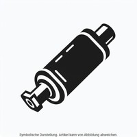 EndschalldäMpfer NachschalldäMpfer Polmo 24.99 FüR Skoda Fabia 2 542 TSI Seat 4