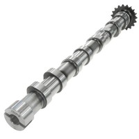 Nockenwelle Auslass FüR Ford Citroen Peugeot 2.0 9804424180