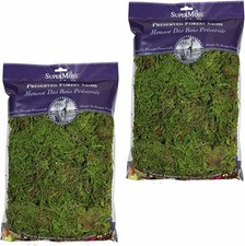 SuperMoss Forest Moss 8 oz 2 Pack Fresh Green Garden Floral Craft Decor