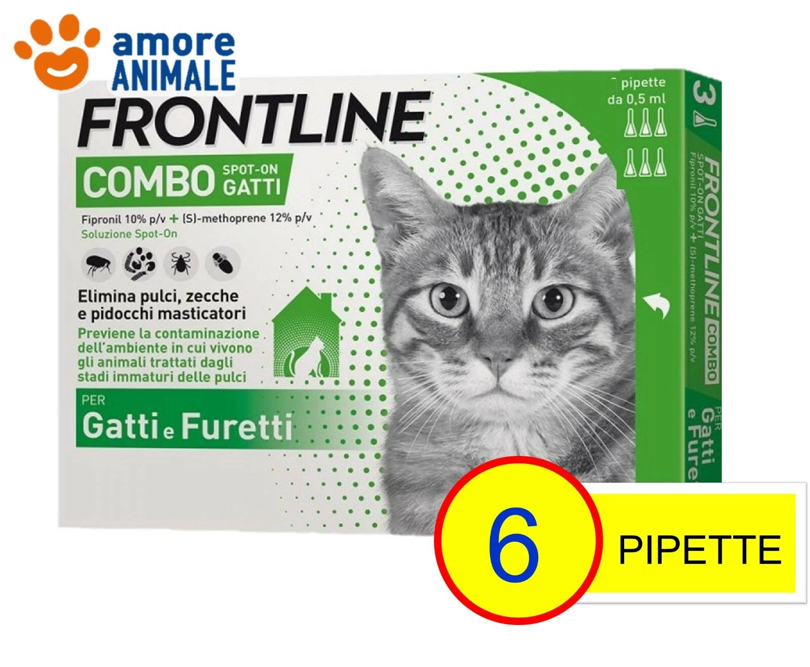 Foto 2 di 2