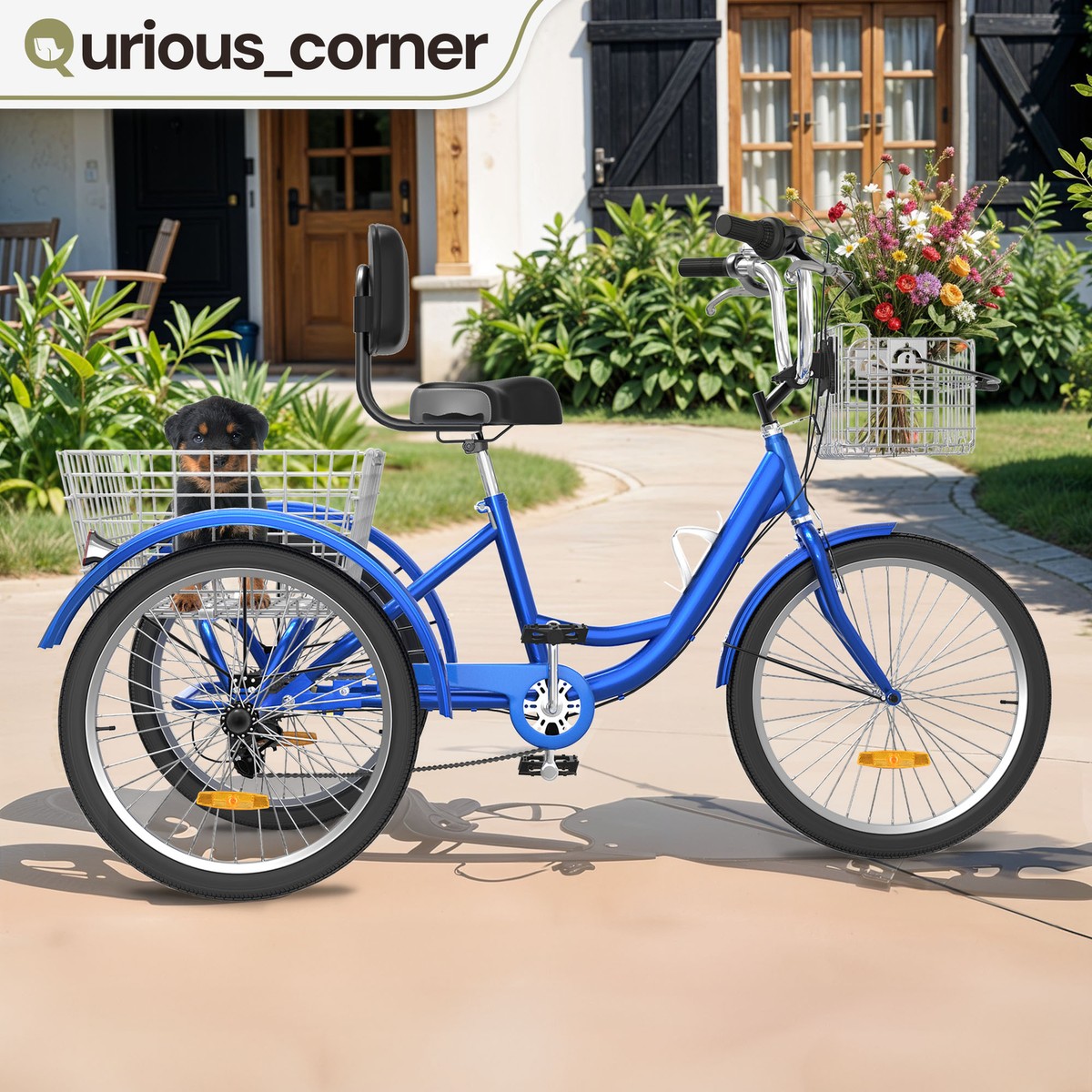 Modified Two Seat Trike 26