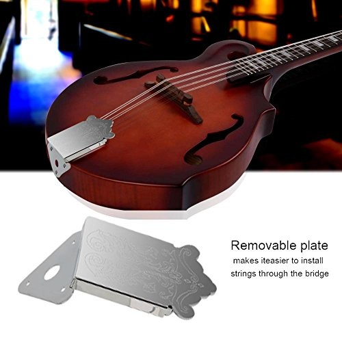 Mandoline Gitarre Saitenhalter mit Abdeckung und Schrauben Instrument Ersatz - Bild 6 von 7