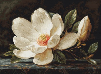 Kreuzstich Set Luca-S GOLD - The Magnolia Dew, B713