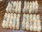 100 NICE CIVIL WAR BULLETS MINIE BALLS DUG VICKSBURG - DROPS