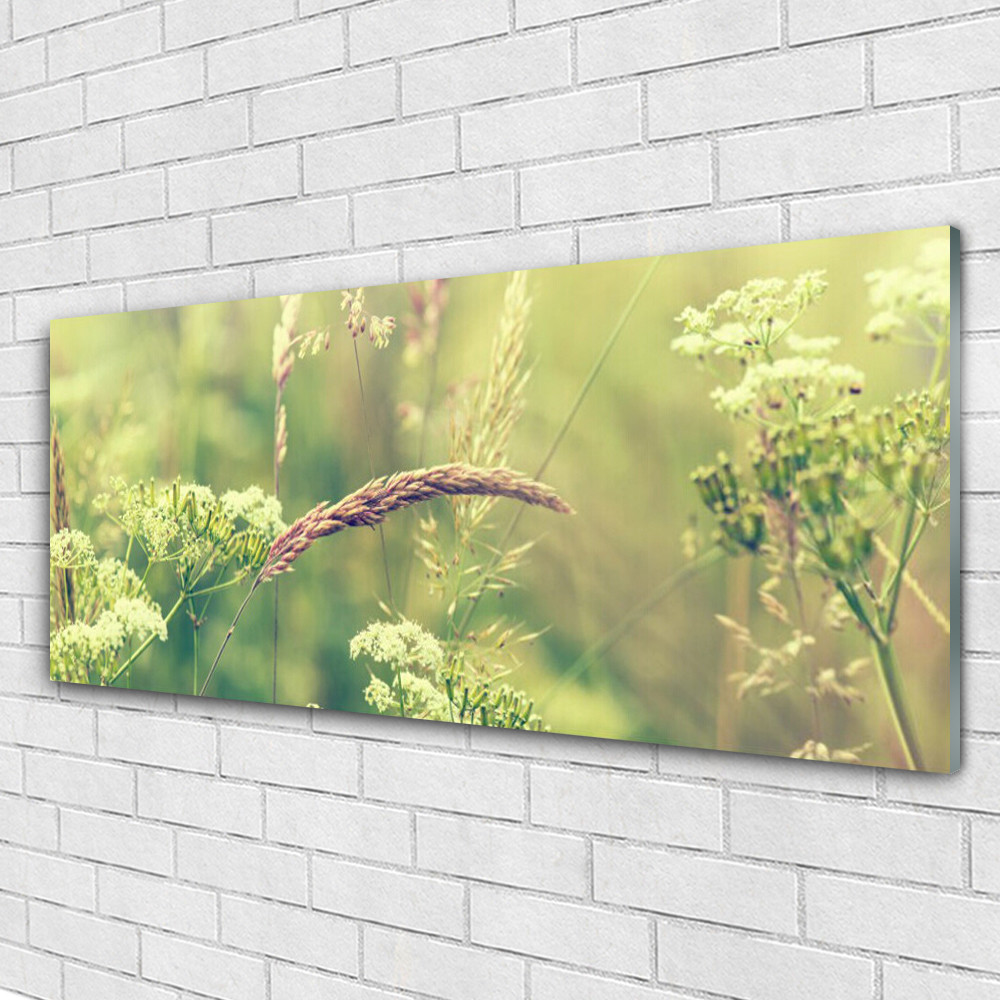 Tableau mural haut de gamme Plantes Sauvages en Plexiglas brillant 125x50
