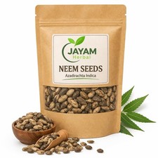 Jayam Herbal Raw Neem Seeds Azadirachta Indica Shelled Neem Kernels 100gm 