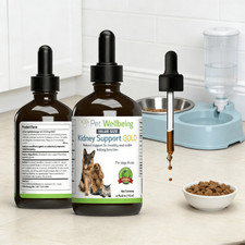 Pet Wellbeing Gold Natural Kidney Support Supplement for Dogs, 4 fl. oz. hot