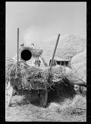 Photo:Frederick Maryland 1937 Wheat Straw Threshing Machine Haystack Farm