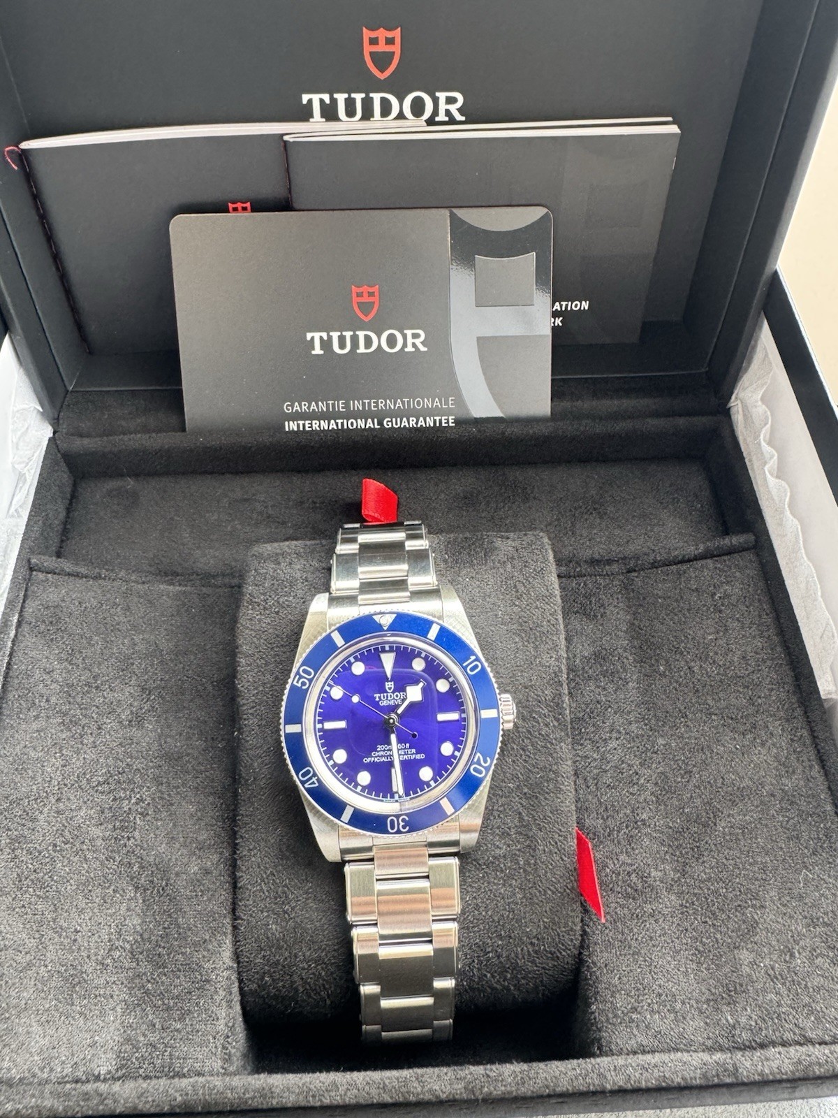 Tudor Black Bay 54 Stainless BLUE