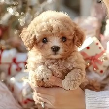 2025 Interactive Robot Pup, Acts Like A Real Puppy, Walking, Barking, Tail Wag