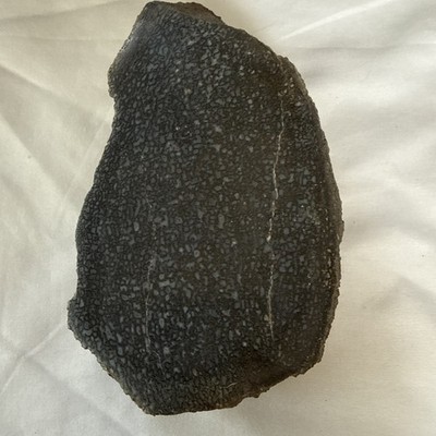 Unknown Stone Could Be A Meteorite Or A Dinosaur Bone Fossil Polished