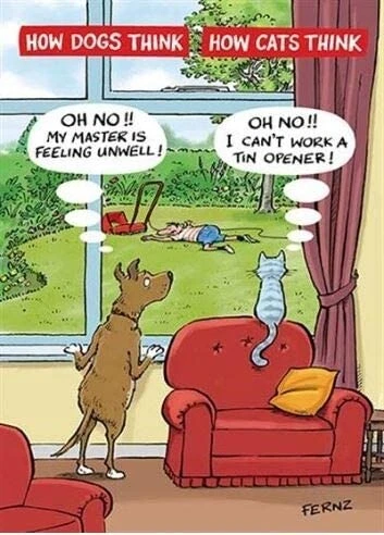 Funny Cats Vs Dogs What Pets Think Happy Birthday Card - AniMalfunction Design