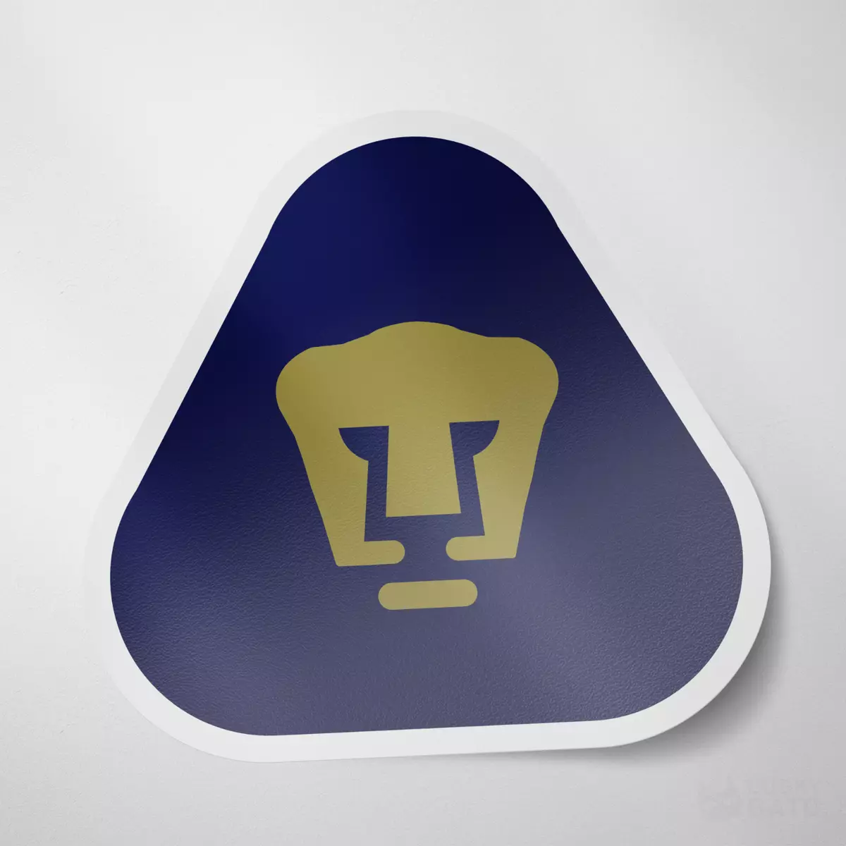 Unam pumas fc 2025