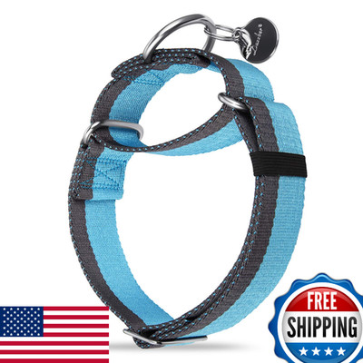 Dazzber Martingale Dog Collar 1.5'' Wide, 1200D Extra Strong Nylon - No-Slip