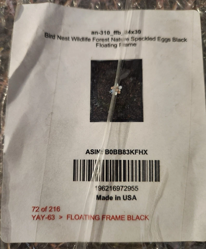 Stupell Industries Bird Nest Wildlife Forest Nature Speckled Eggs Photo 24X30 - Image 2 of 3