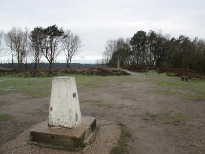 Foto A2 Gibbet Hill Gipfelbereich Hinterkopf Anzeichen von Baumfällungen offensichtlich c2015