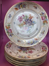 Six 1930s Tirschenreuth Dinner Plates - Dresden Flowers Pattern
