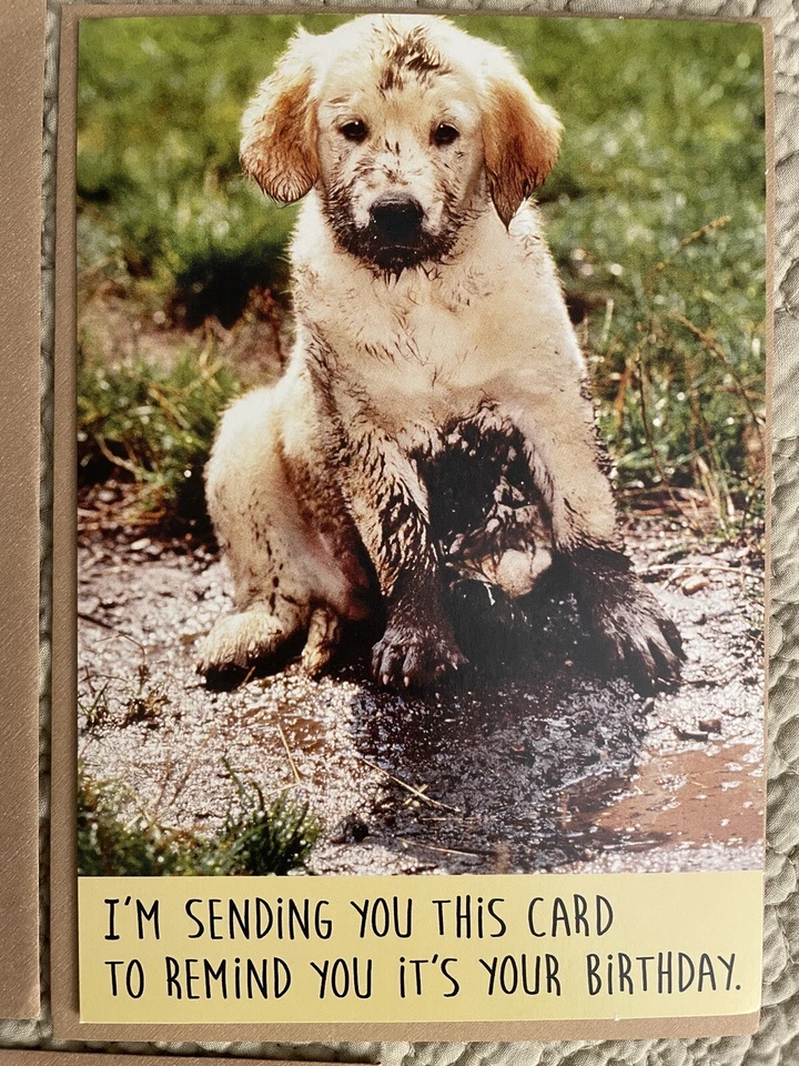 9 LOT ~ Funny Birthday Cards Anyone Humor American Greetings w/ Envelope + Seals - Image 4 of 4