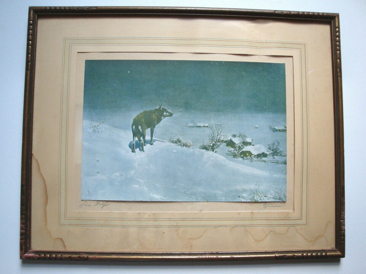 Old LONE WOLF Print Framed 18.5x14.5 Inches Kowalski-Weirusz
