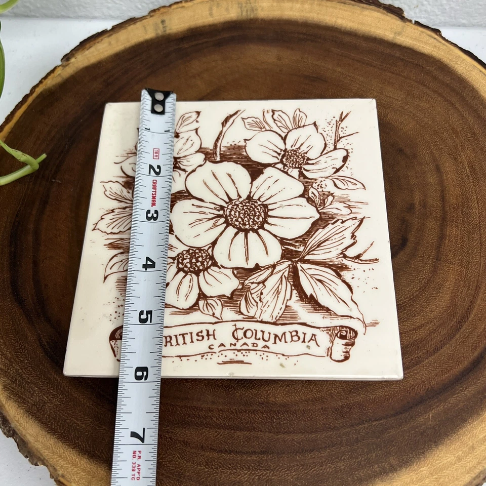 British Columbia Canadá Salpicadero Decorativo Cerámica Arte Pared Azulejo Cocina Foto 3 de 4