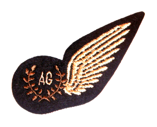 Rare Original Vintage RAF Air Gunner Brevet Wings Black Light Tested - 第 1/2 張圖片