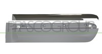 Prasco FT0441454 Modanatura FüR Fiat Portiera Hinten Links