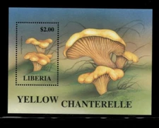 Liberia 1998 - Mushrooms - Souvenir Stamp Sheet - Scott #1335 - MNH