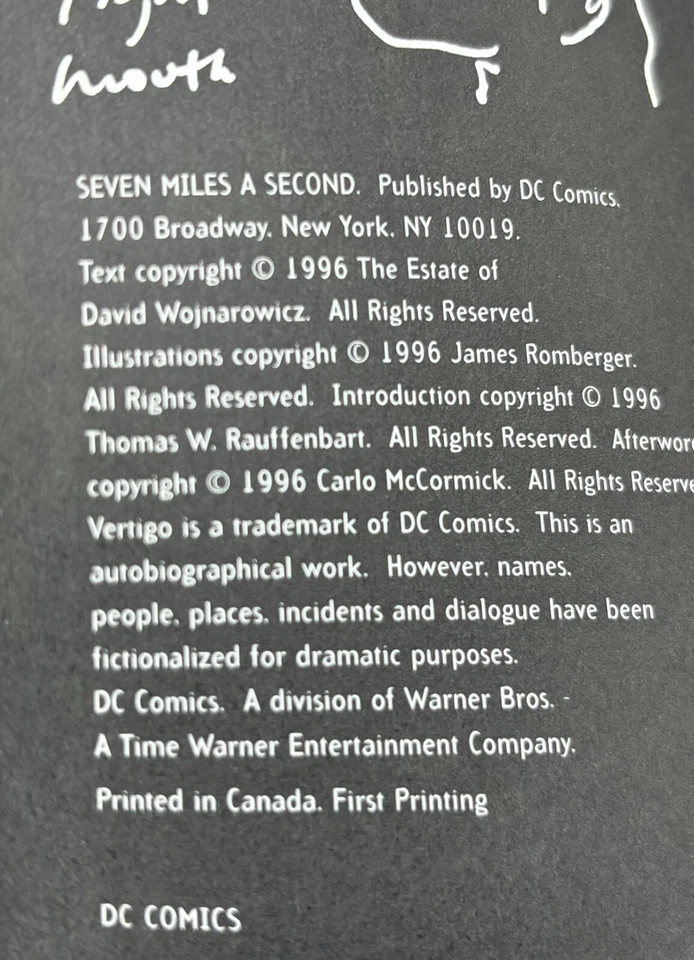 Seven Miles a Second 1996 年第 1 版 GN Vertigo Verite DC Wojnarowicz 近乎完好未读 — 第 2/4 张图片