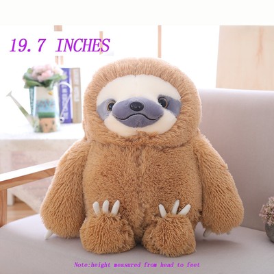 winsterch fluffy giant cat