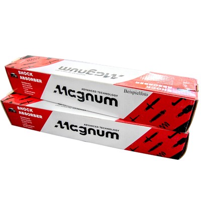 2x MAGNUM AGB120 Stoßdämpfer Vorne für BMW X5 E70 X6 E71 E72 3.0-4.8 10.06-07.14