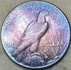 1923 S $1 Peace Dollar Blue & Purple Toned 90% Silver