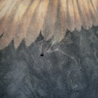 Bild 3 von 14