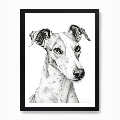 Whippet Hund, Linienzeichnung 3 Kunst Pri gerahmtes Wandbild Poster Leinwanddruck Bild