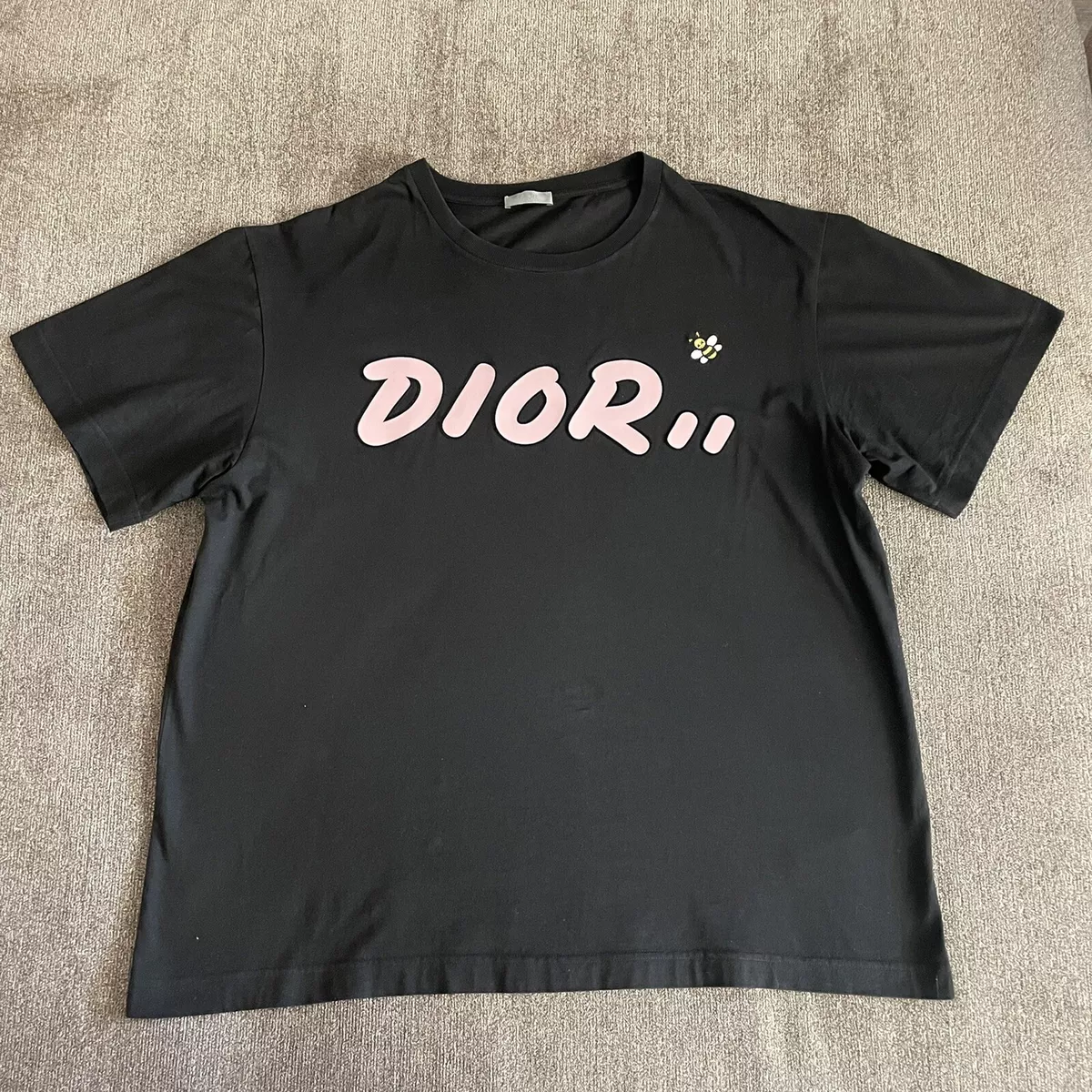 Cập nhật 56+ về kaws dior logo mới nhất - cdgdbentre.edu.vn